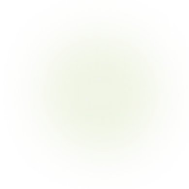 Ellipse 29