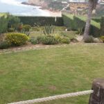 Jardim residencial com relvado e arbustos cuidados