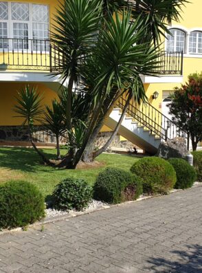 Manutenção de jardim residencial