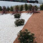 Manutenção de jardim com plantas ornamentais