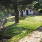Jardim com relva e manutenção de espaços verdes