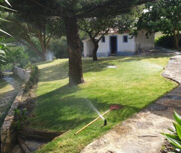 Jardim com relva e manutenção de espaços verdes